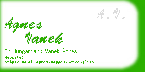 agnes vanek business card