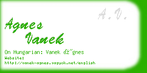 agnes vanek business card